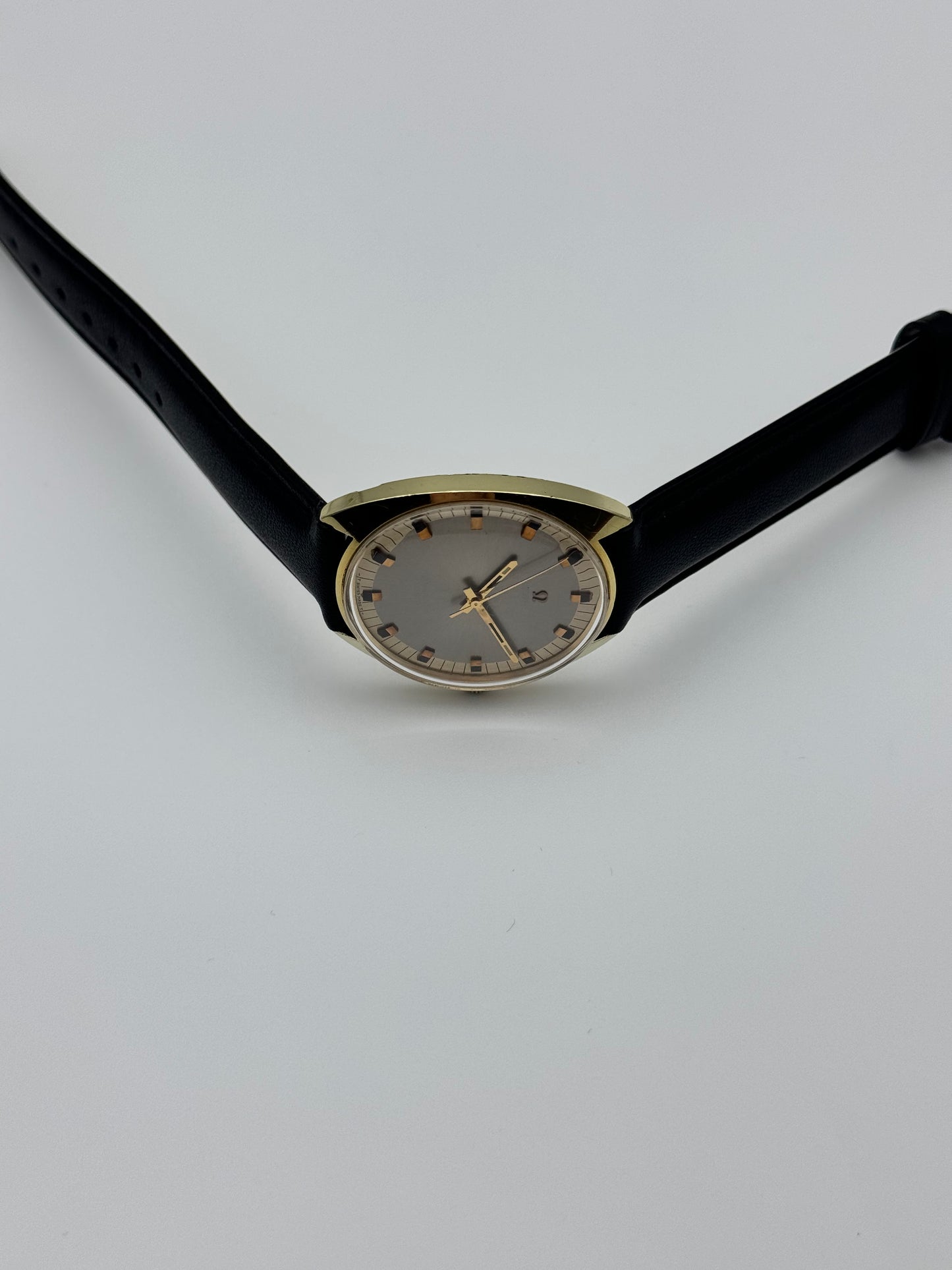 Omega Seamaster Cosmic Rare Dial 135.017