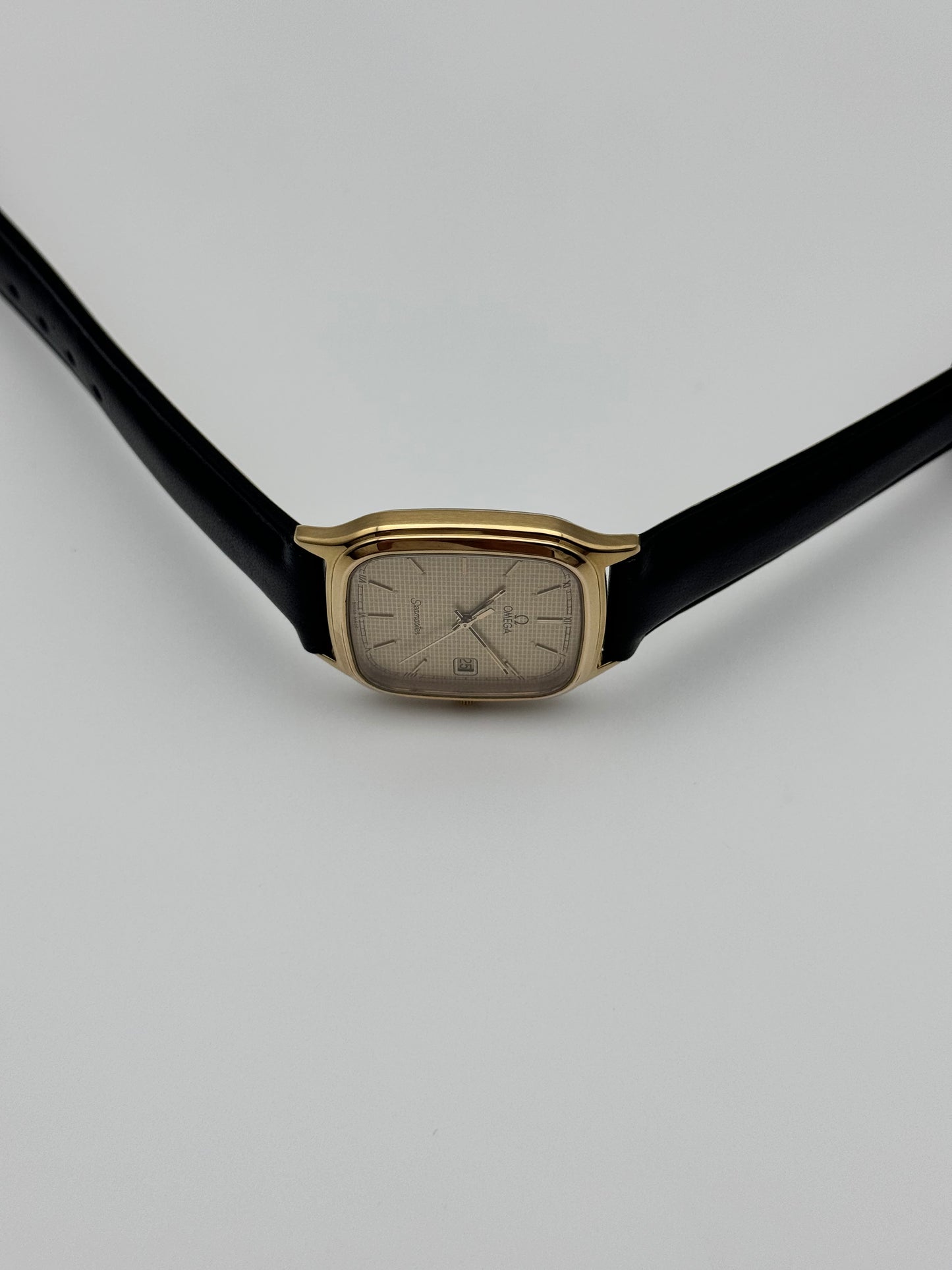 Omega Seamaster Quartz Date 196.0311