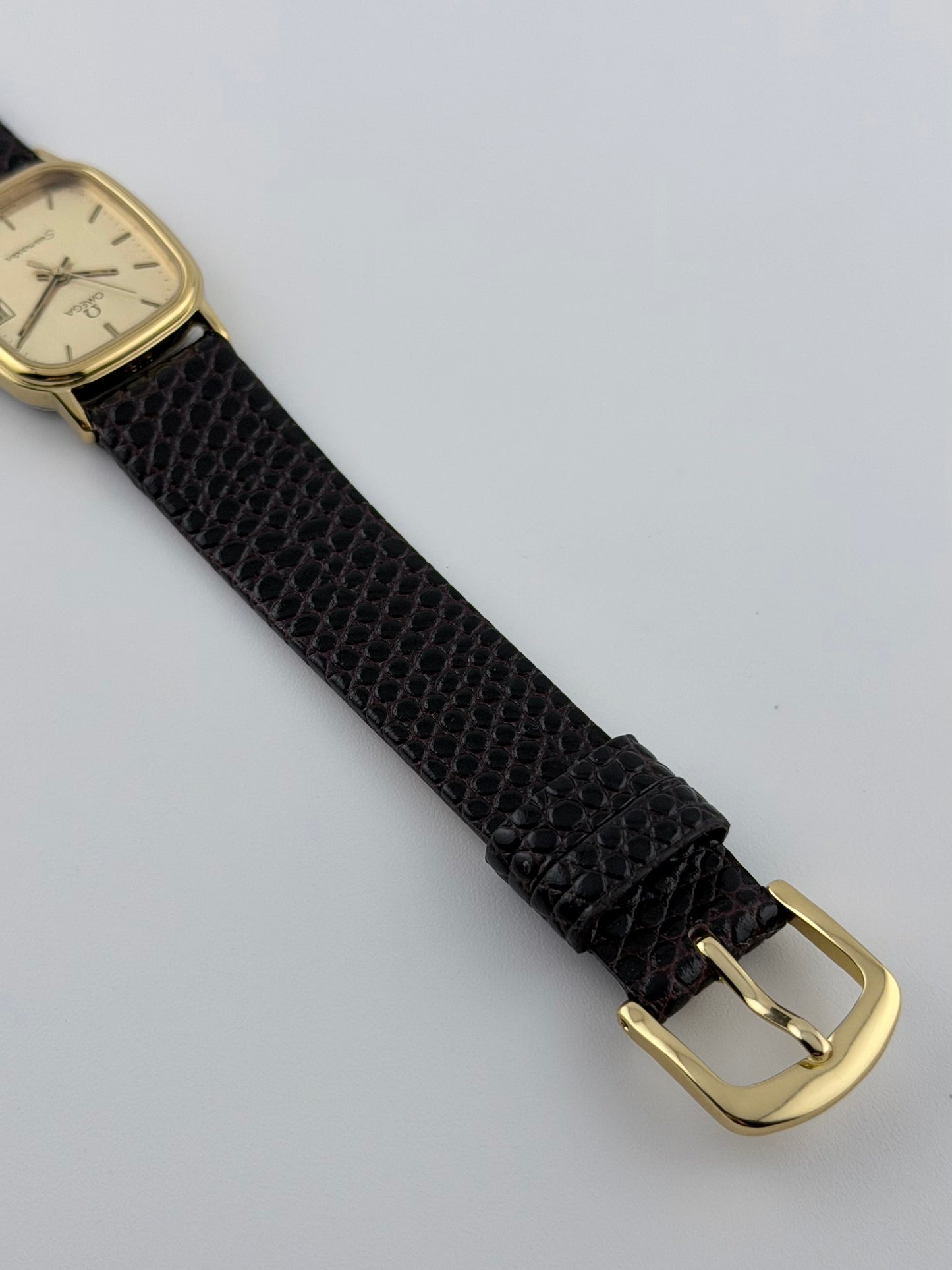 Omega Seamaster Quartz Date 596.0070 - Ladies