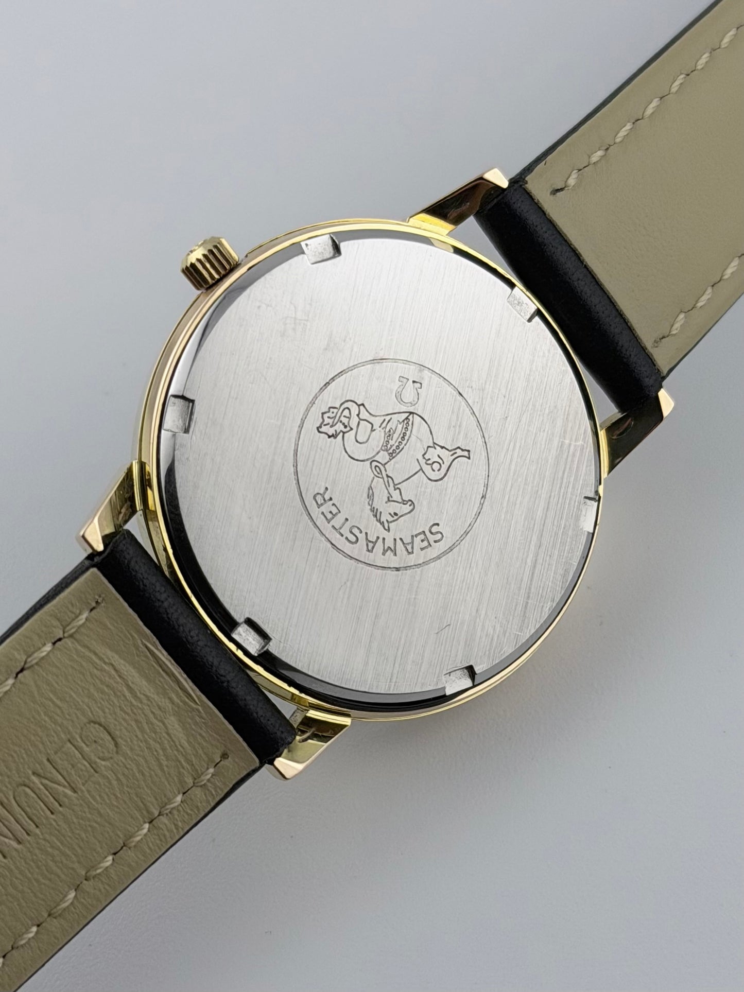 Omega Seamaster 600 Manual Wind - 135.011 - Technical Dial - Ultra Rare!