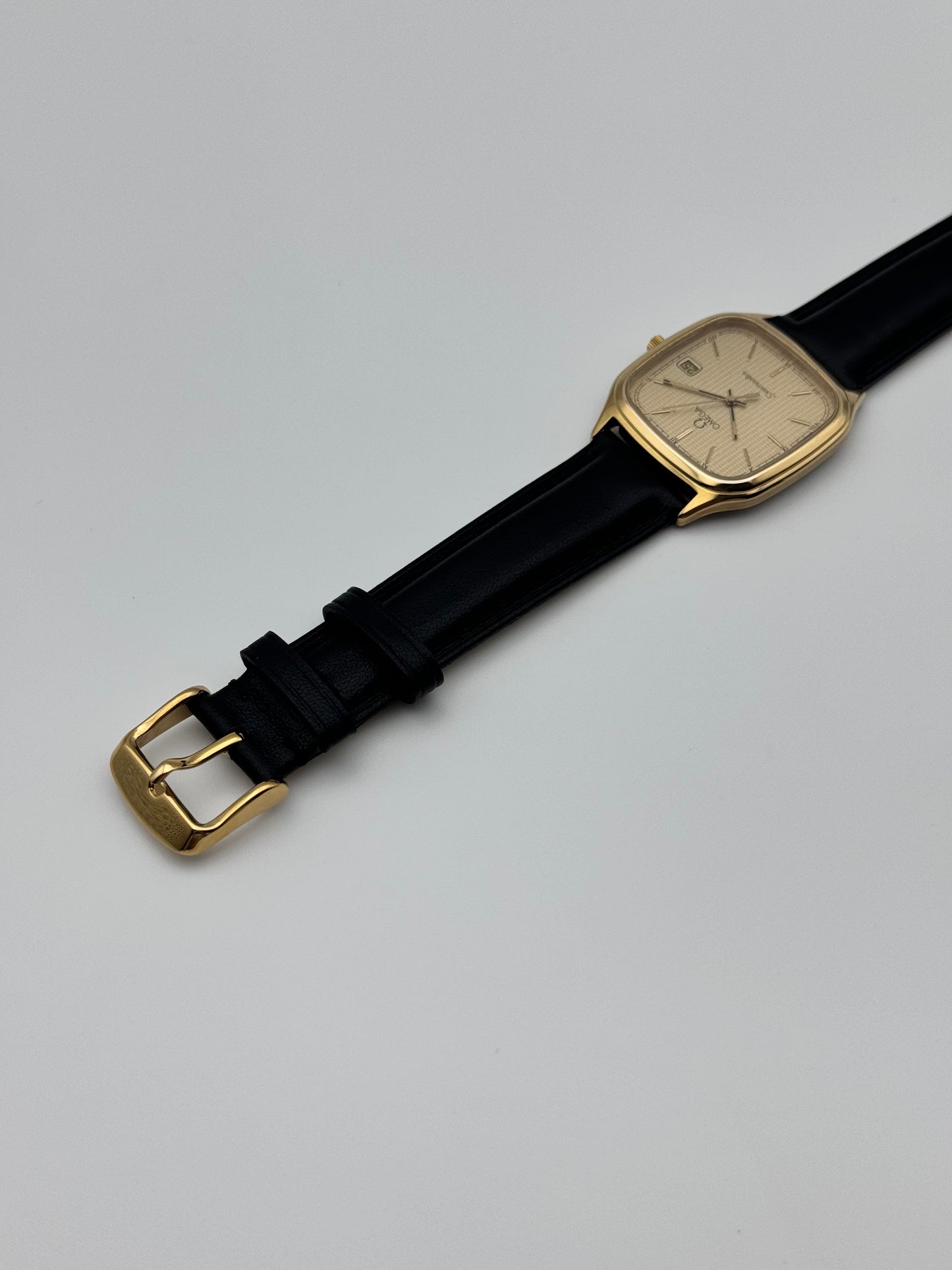 Omega Seamaster Quartz Date 196.0311